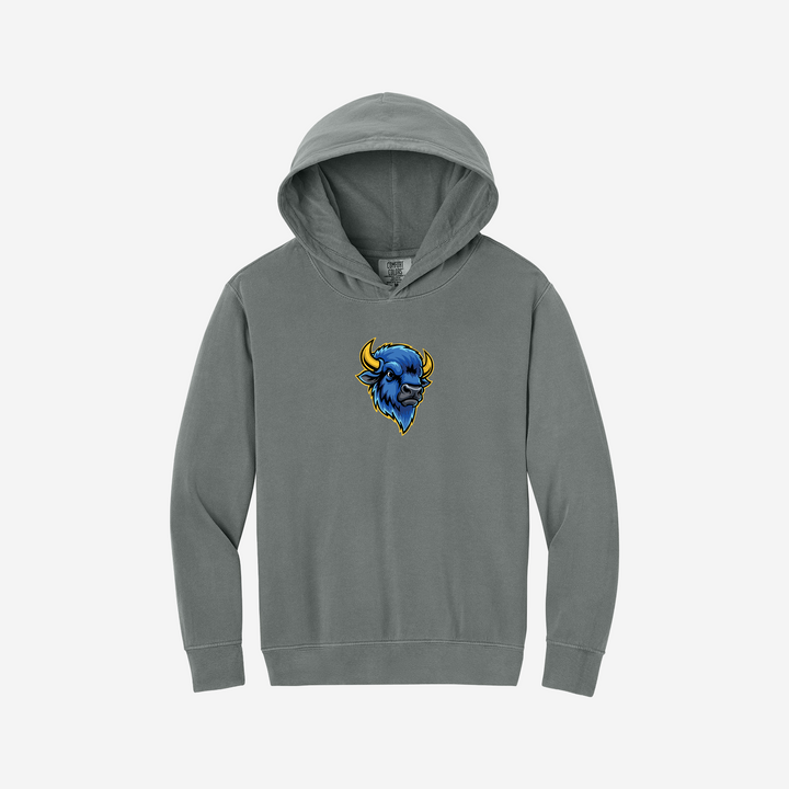 Youth Lightweight Hooded Sweatshirt